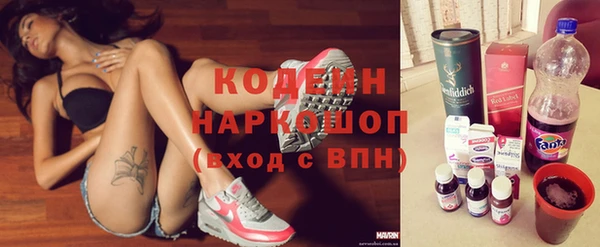 дурь Няндома