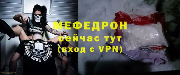 дурь Няндома